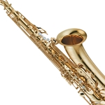 
						 Image of Tenor Sax